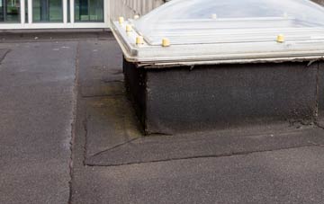 disadvantages of Ruswarp flat roofs