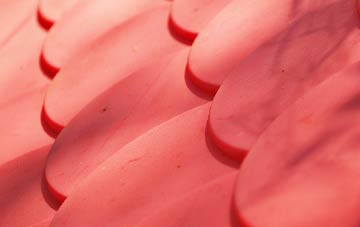 Ruswarp plastic roof costs