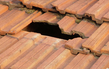 roof repair Ruswarp, North Yorkshire
