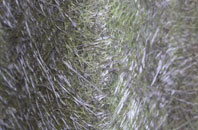 Ruswarp fibreglass roof work