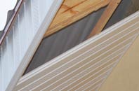 rated Ruswarp soffit repair companies